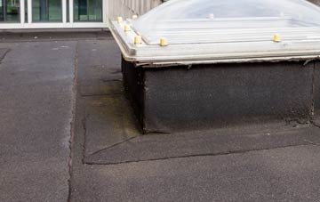 disadvantages of Blankney flat roofs
