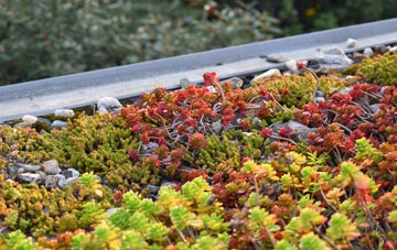 the cost of Blankney green roof installation