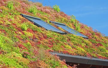 Blankney living roof systems