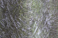 Blankney fibreglass roof work